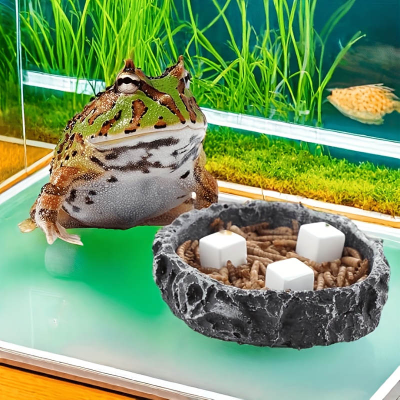 Calcium Powder Reptile - 6 Pezzi Blocco di Calcio per
