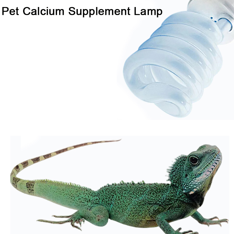 E27 13W/26W Lampada Uvb per re - Calcium Powder Reptile recensione e prezzo
