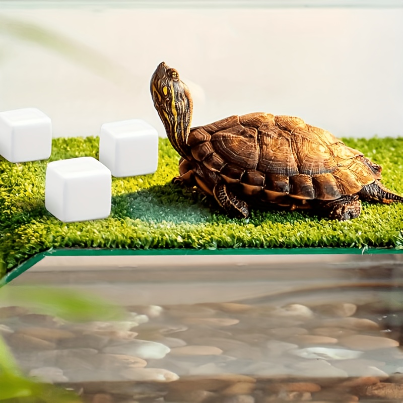6 Pezzi Blocco di Calcio per A - Calcium Powder Reptile recensione e prezzo