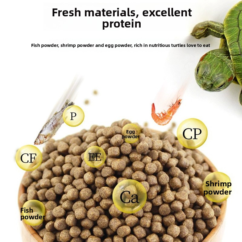 GEN CLIMB Tartaruga con cursor - Calcium Powder Reptile recensione e prezzo